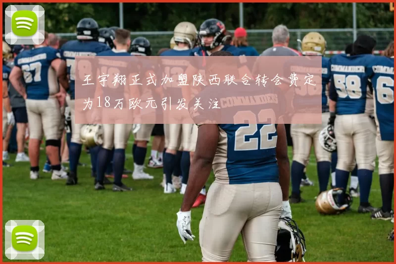 王宇翔正式加盟陕西联合转会费定为18万欧元引发关注